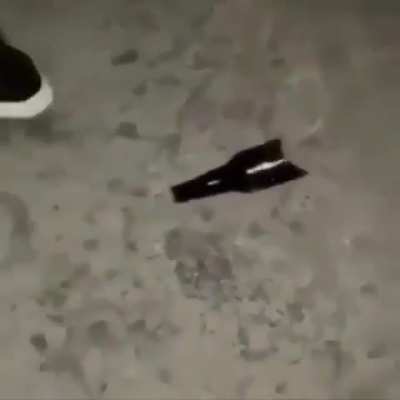 Spin the bottle