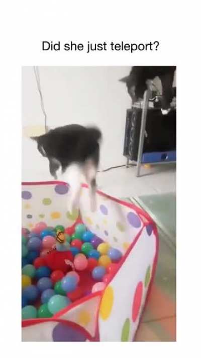 Maybe maybe maybe