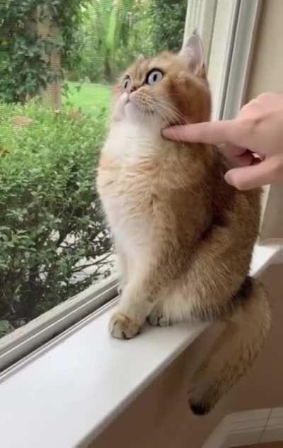 Не мешай, фокус сбиваешь!