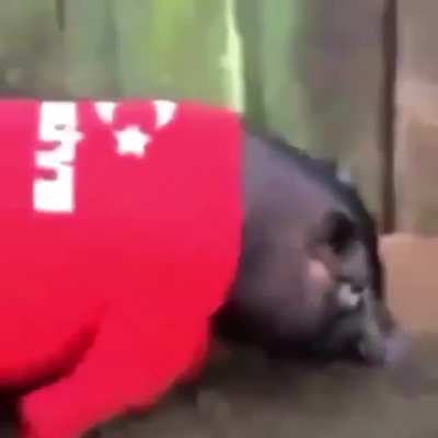 Average Turk