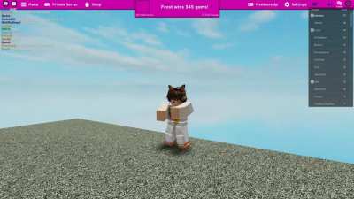 Roblox Hit Different When Bingo