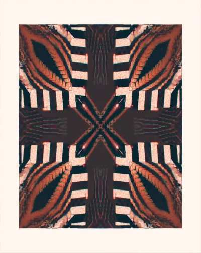 Symétrie Cyber Psychédélique (p5 & GLSL)