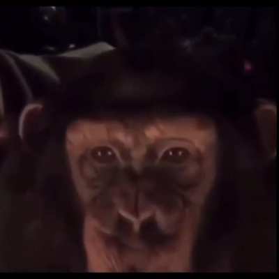 Monke