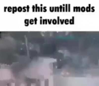 Tit