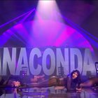 Anaconda