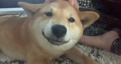 Look at that smile!