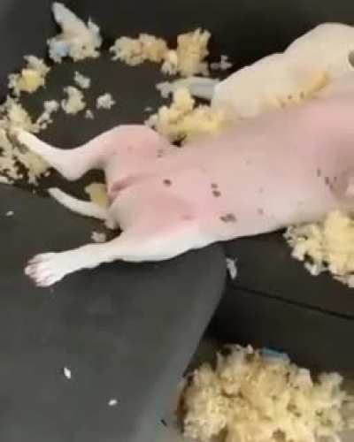 It wasn't me