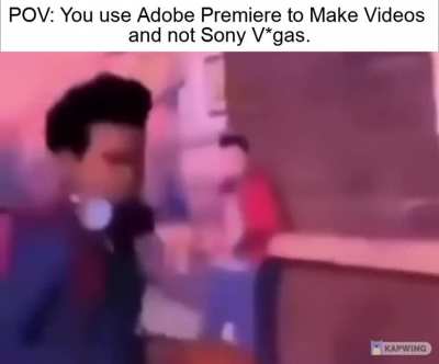 POV: You Use Adobe Premiere Pro and not Sony Vegas