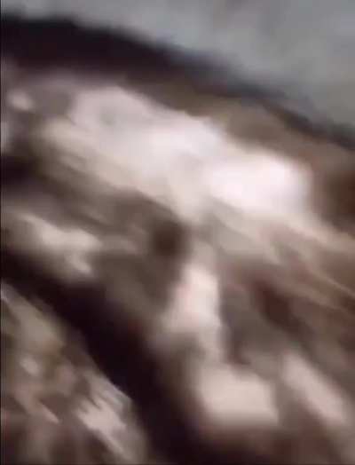 How to counter a teabag?