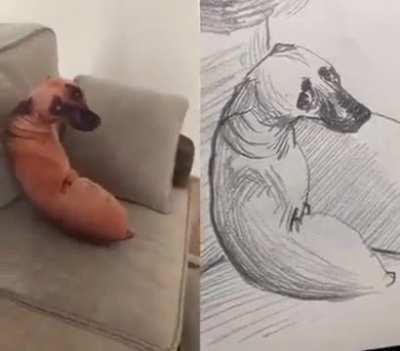 Blursed_Dog pillow