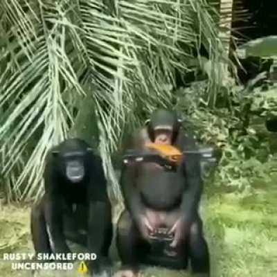monke