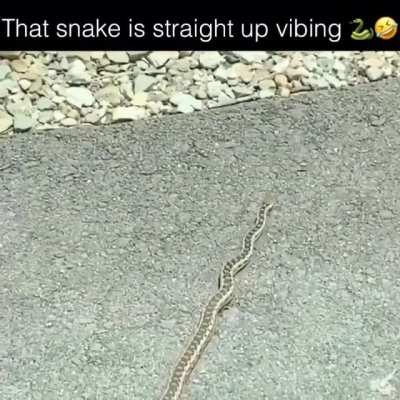Swiggity Swooty, I'm slitherin' to that booty