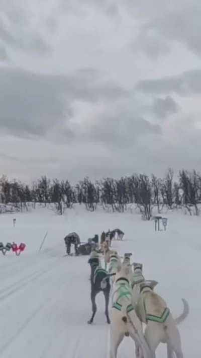 A woman saves another woman who is being dragged as she hangs onto the dogsled