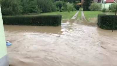 Sommer in Niederösterreich
