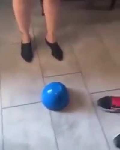 Doguinho mágico