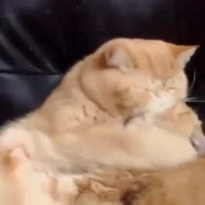 Making out for the first time