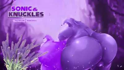 Sonic & Knuckles.. EVIL!