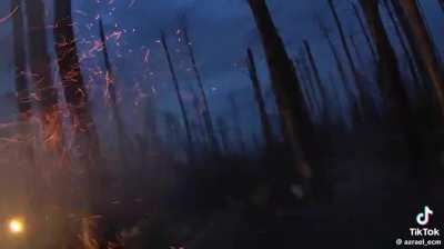 Brazilian Volunteers fighting at night in the forests of Kreminna 
