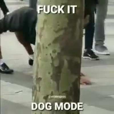 Been laughing my ass off at this for the past 3 hours