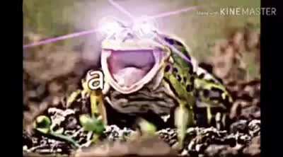 ª
