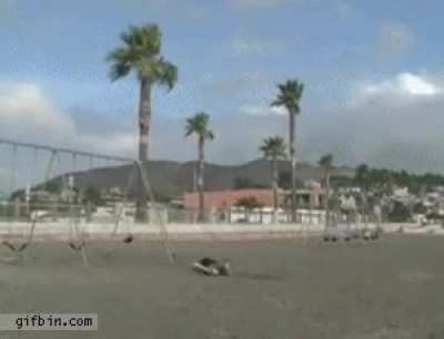 It was filmed by a potato. . . but I think you can figure out what happened.
