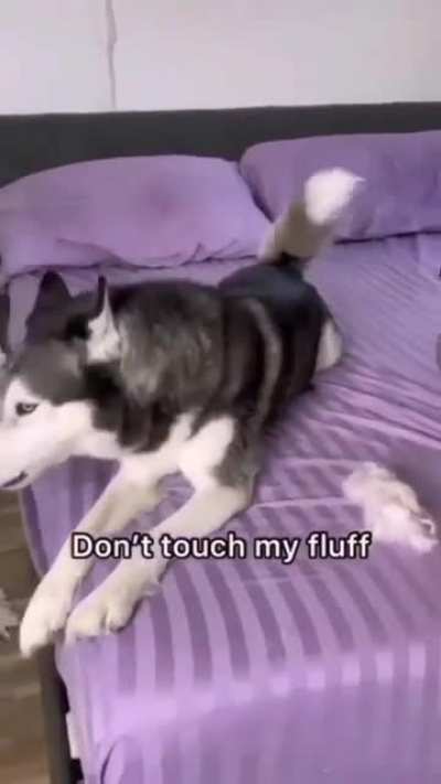 It's good for you cranky boy