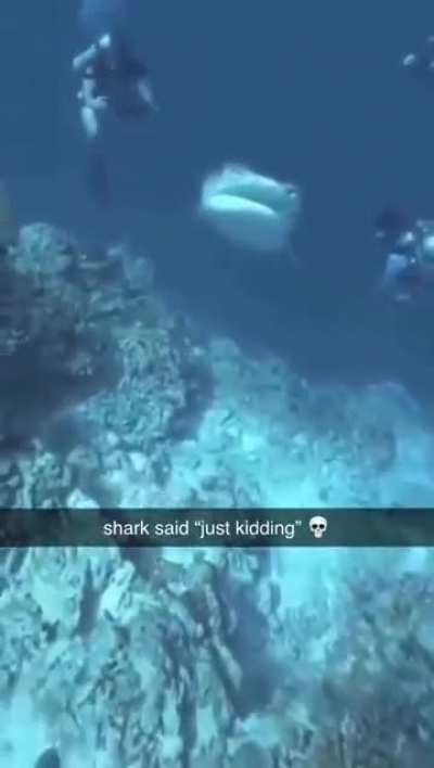 Hah! Gotcha...