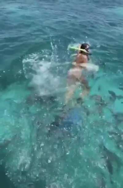 Nope nope nope nope