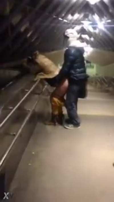 A nice doggystyle in public