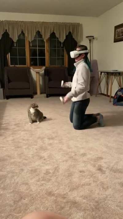 VR