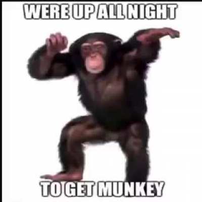 rule