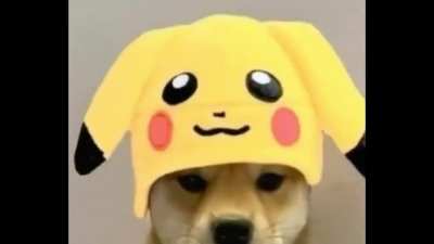 Anime Doge Variants