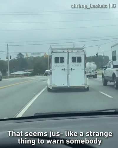 Caution! Horses