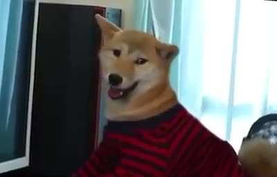 I’m always winning hooman.