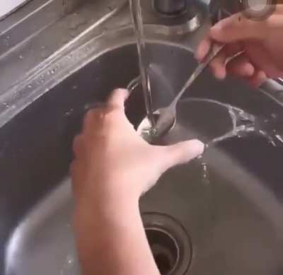 What the living fuck?
