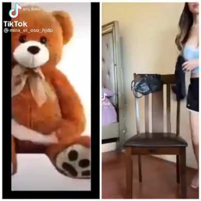 El oso