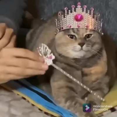 Your Majesty!
