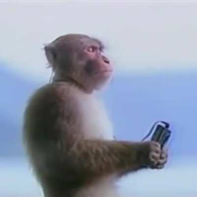 Monkey Machine