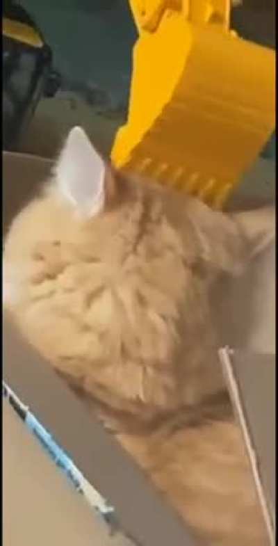 Important Work