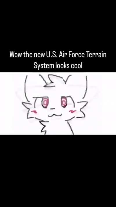 There has to be femboy airline pilots that exist, right?