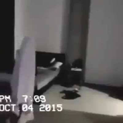 Fake ghost get real bonk
