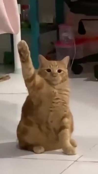 Ready for Battle 