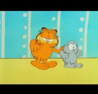 GARFIELD NO