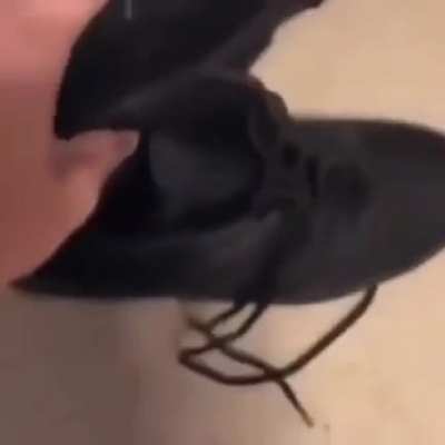 😳
