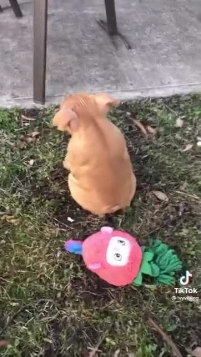 Oh no!!