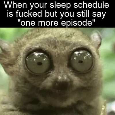 Get some sleep y'all