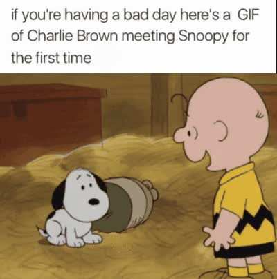Charlie Brown and Snoopy meeting for the first time