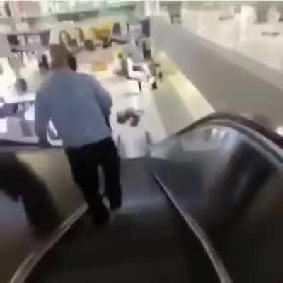 Esse é o melhor vídeo da internet