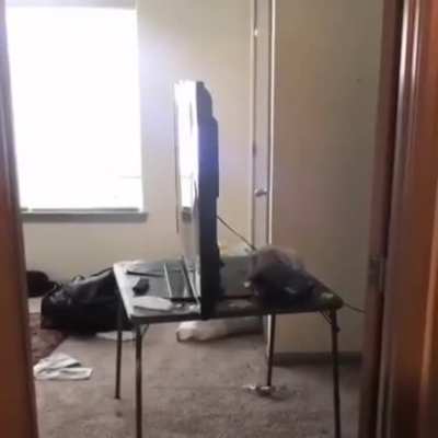 ‎