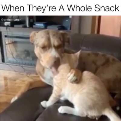 Just Can’t Help It